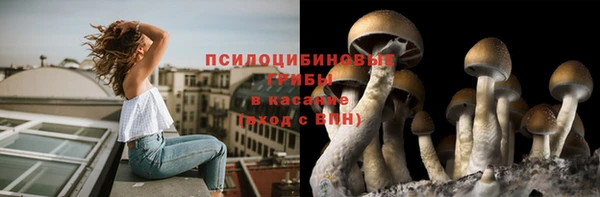 ALPHA PVP Арсеньев