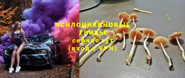 крисы Аркадак