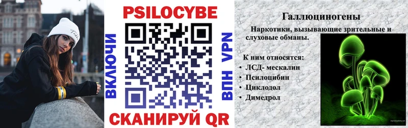 Псилоцибиновые грибы Cubensis  Арск 